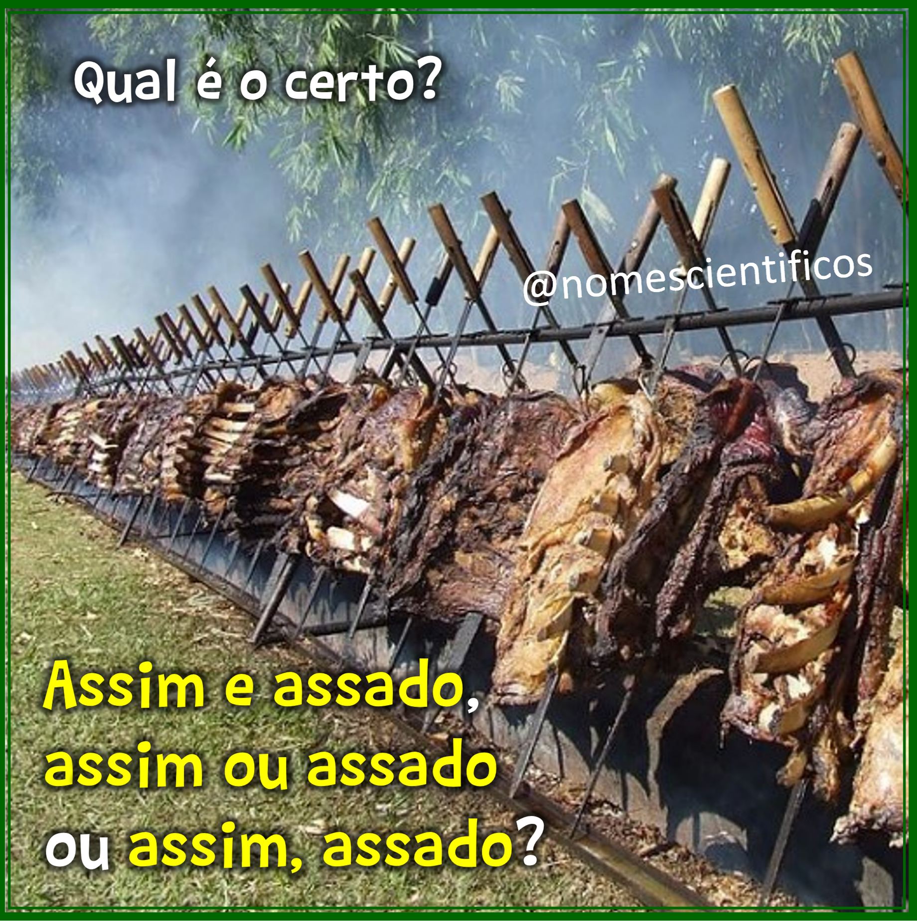 Assim Assado assim E Assado Ou assim Ou Assado Nomes Cient ficos assim-assado-assim-e-assado-ou-assim-ou-assado-nomes-cient-ficos