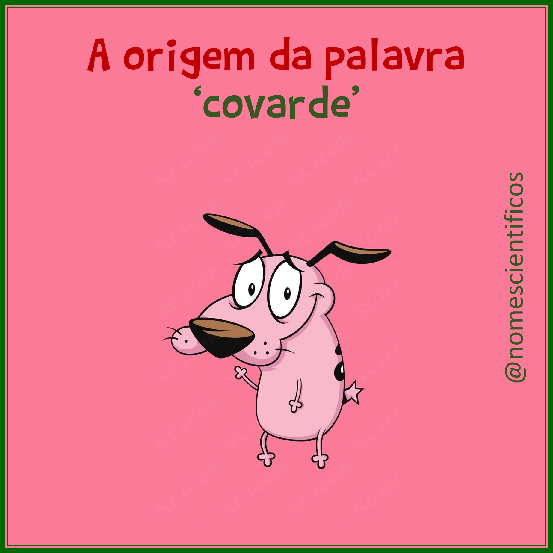 A origem da palavra ‘covarde’ – Nomes Científicos